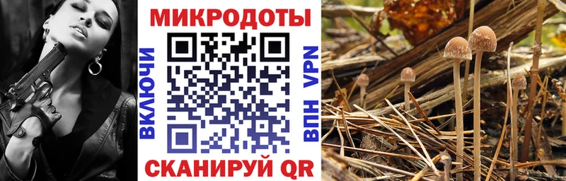 Галлюциногенные грибы Magic Shrooms  Химки 